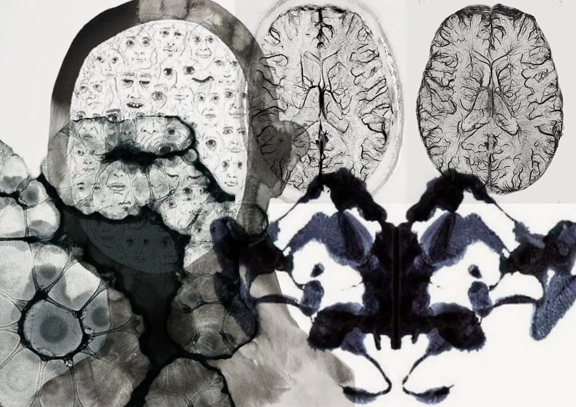 Cérebro, Rorschach e tinta.