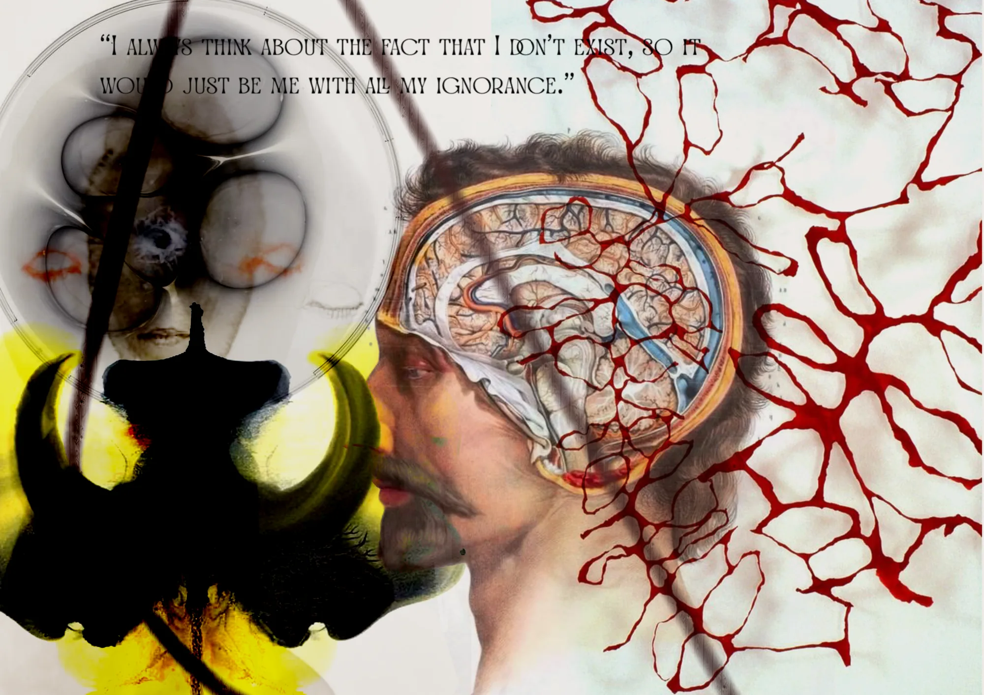 Anatomia e veias: 'I always think about the fact that I don't exist'.