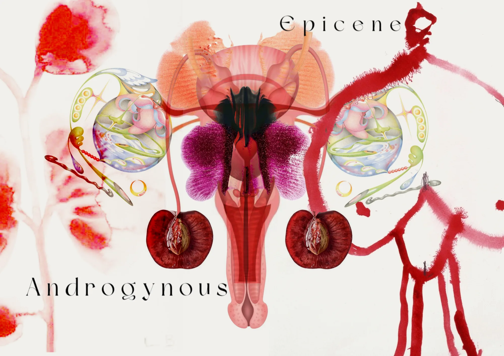 'Epicene / Androgynous'.